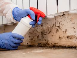 Trusted Ashland, IL Mold Prevention & Removal  Experts